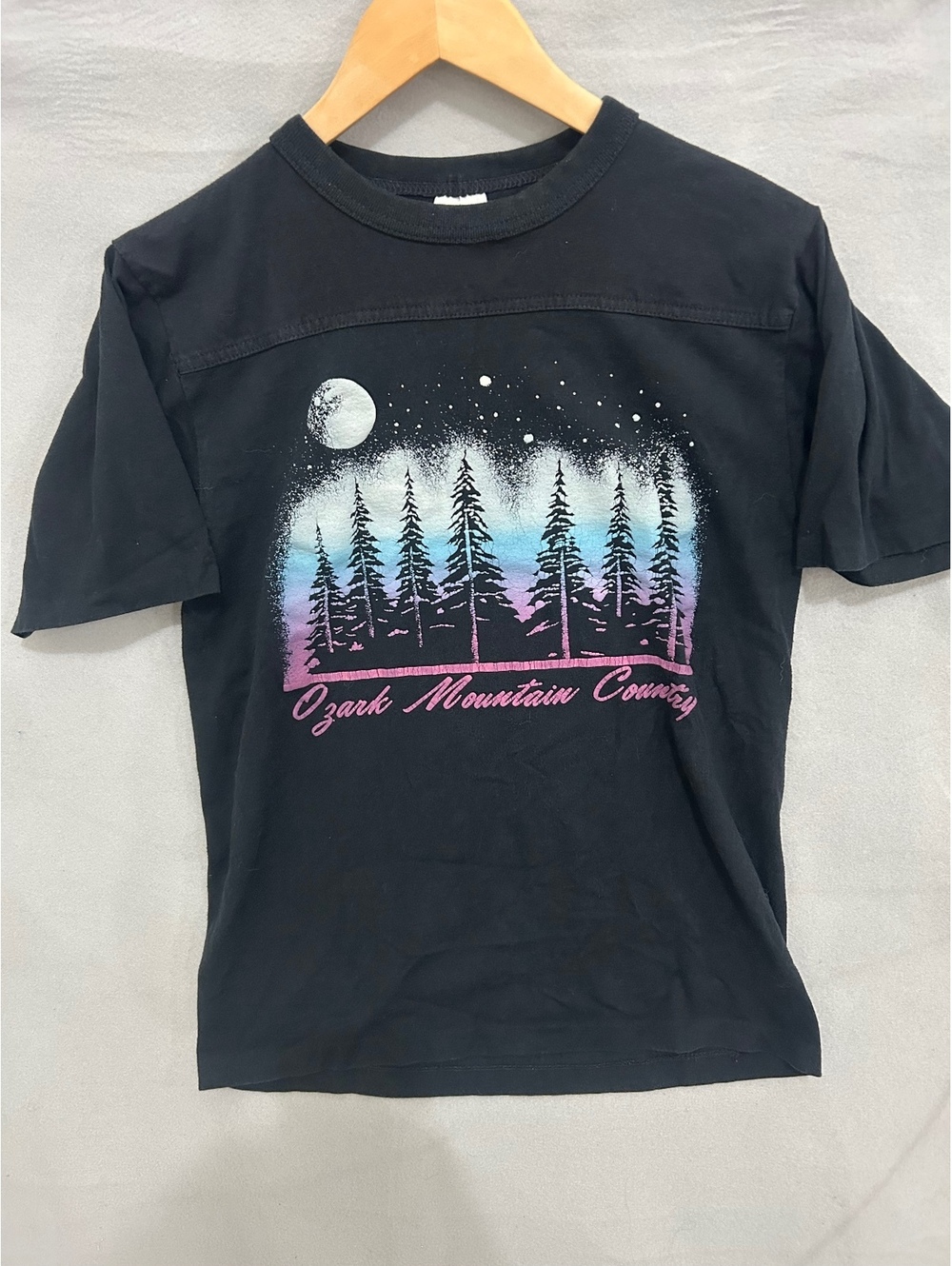 Vtg single stitch Men's Black Graphic T-Shirt Size M - Scenic Pine Trees &